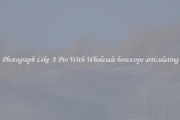 Photograph Like A Pro With Wholesale borescope articulating