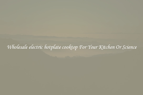 Wholesale electric hotplate cooktop For Your Kitchen Or Science