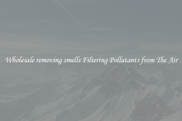 Wholesale removing smells Filtering Pollutants from The Air