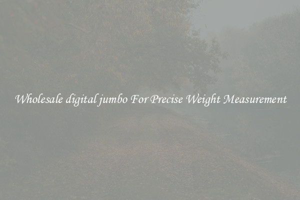 Wholesale digital jumbo For Precise Weight Measurement