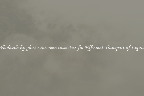 Wholesale lip gloss sunscreen cosmetics for Efficient Transport of Liquids