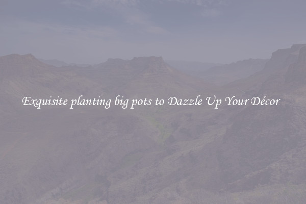Exquisite planting big pots to Dazzle Up Your Décor  