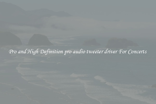 Pro and High Definition pro audio tweeter driver For Concerts 