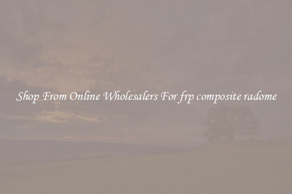 Shop From Online Wholesalers For frp composite radome
