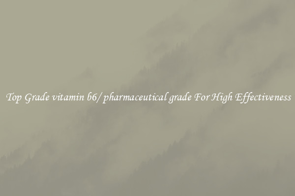 Top Grade vitamin b6/ pharmaceutical grade For High Effectiveness