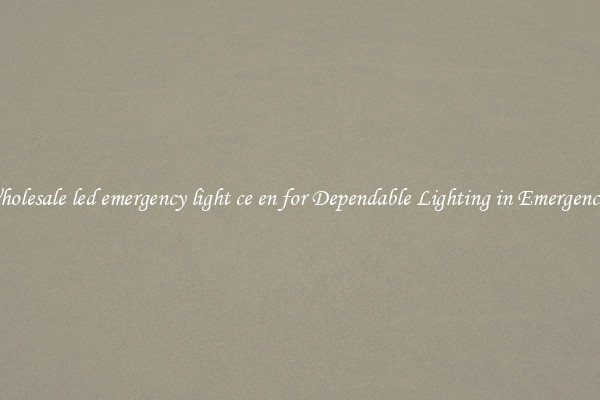 Wholesale led emergency light ce en for Dependable Lighting in Emergencies