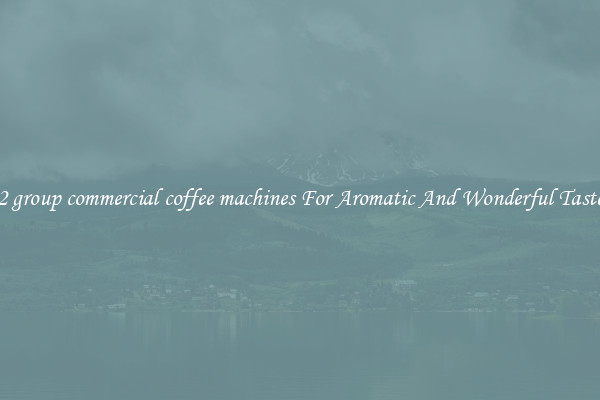 2 group commercial coffee machines For Aromatic And Wonderful Taste