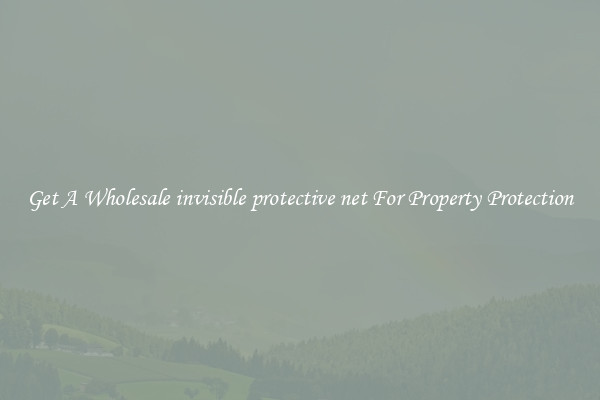Get A Wholesale invisible protective net For Property Protection