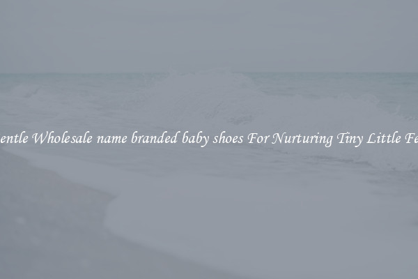 Gentle Wholesale name branded baby shoes For Nurturing Tiny Little Feet