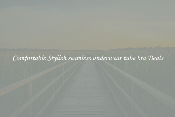 Comfortable Stylish seamless underwear tube bra Deals