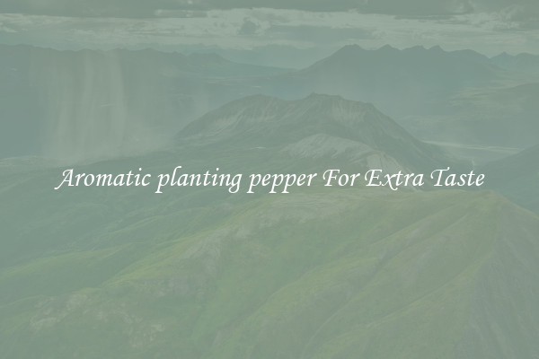 Aromatic planting pepper For Extra Taste
