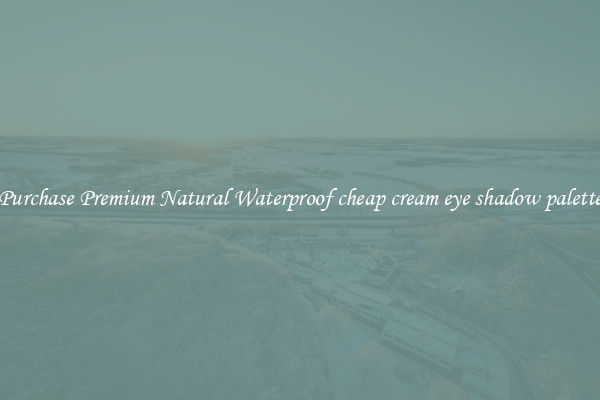 Purchase Premium Natural Waterproof cheap cream eye shadow palette