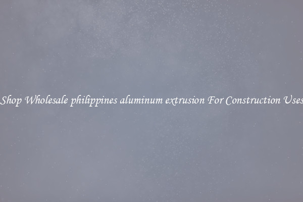Shop Wholesale philippines aluminum extrusion For Construction Uses