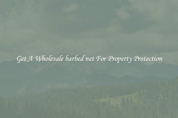 Get A Wholesale barbed net For Property Protection