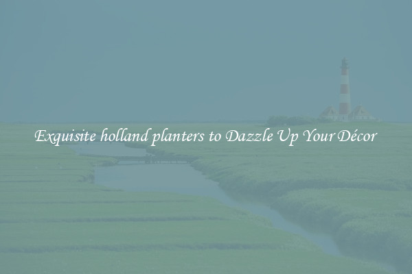 Exquisite holland planters to Dazzle Up Your Décor 
