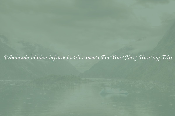 Wholesale hidden infrared trail camera For Your Next Hunting Trip