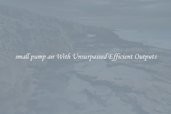 small pump air With Unsurpassed Efficient Outputs