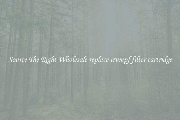Source The Right Wholesale replace trumpf filter cartridge
