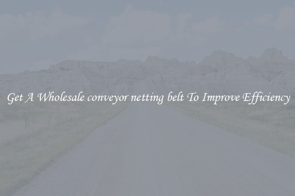Get A Wholesale conveyor netting belt To Improve Efficiency