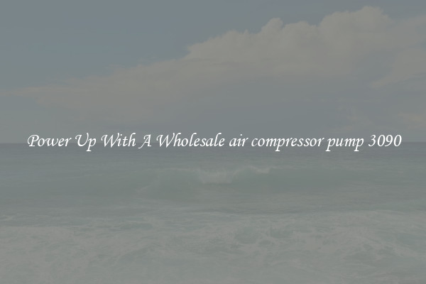 Power Up With A Wholesale air compressor pump 3090