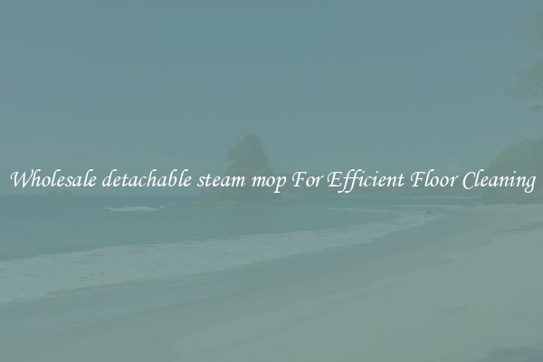 Wholesale detachable steam mop For Efficient Floor Cleaning
