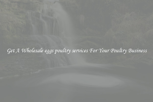 Get A Wholesale eggs poultry services For Your Poultry Business